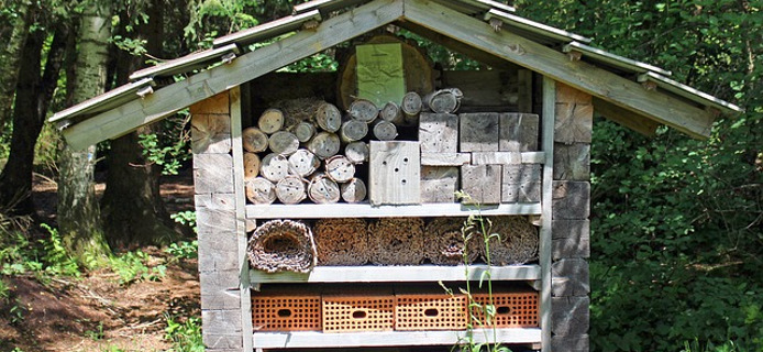 Bauanleitung einer Insektenwand