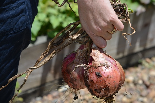 Hochbeet Bauanleitung