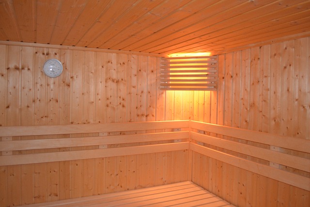Sauna selber bauen