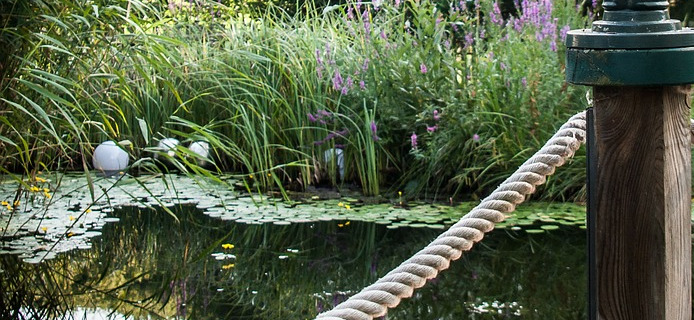 gartenteich