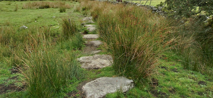 Gartenwege selbst anlegen: Das muss man beachten