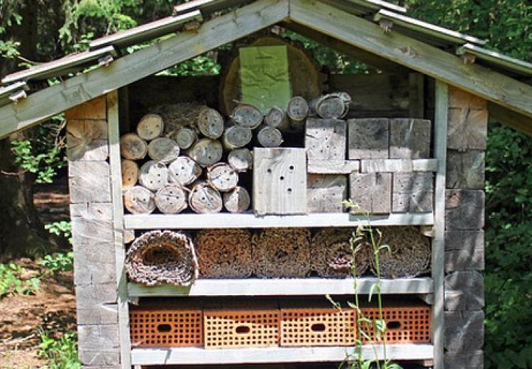 Bauanleitung einer Insektenwand