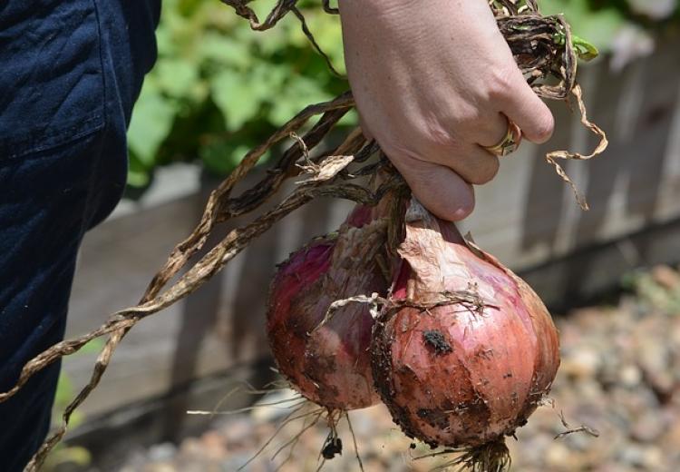 Hochbeet Bauanleitung